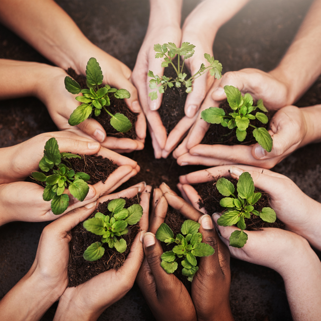 Etre une marque éco-responsable : qu'est-ce que c'est ?