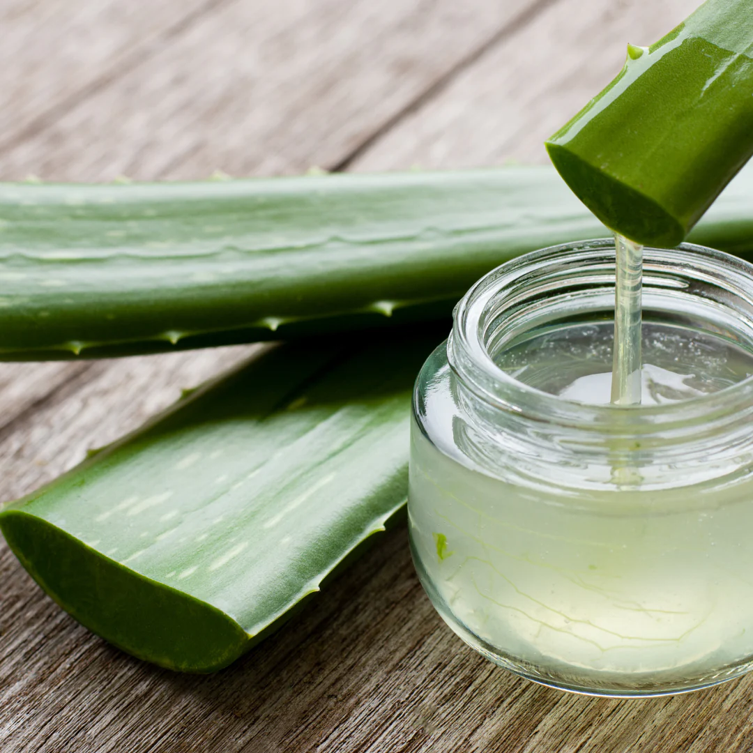 Aloe vera : la plante dont votre routine a besoin !